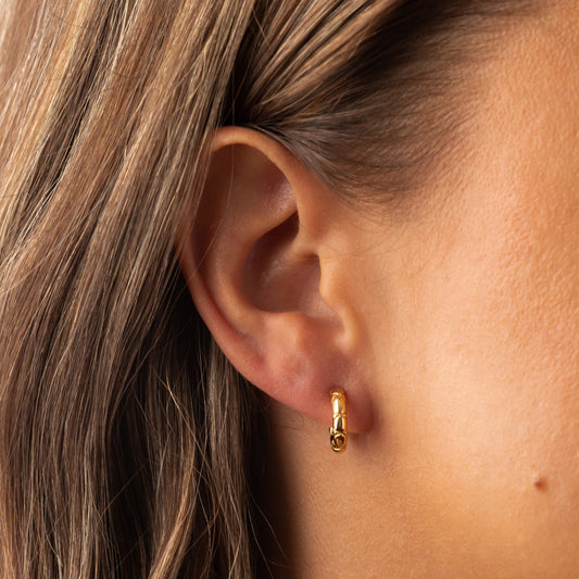 Luanne Earrings - 18K Gold Plated